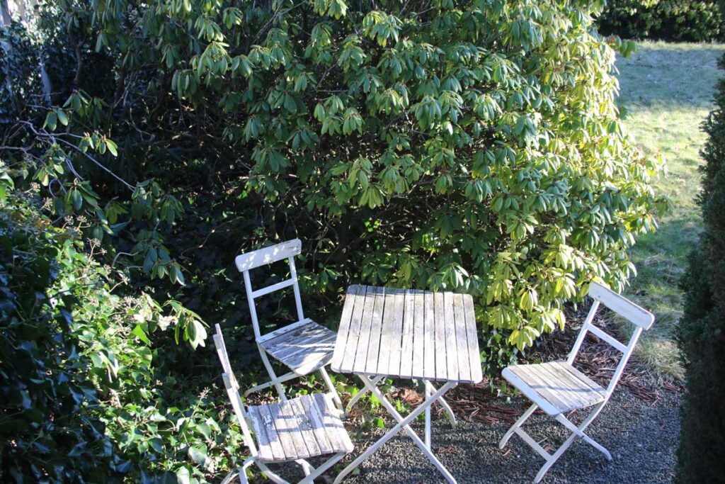 Drei weiße Holzstühle und ein quadratischer Tisch stehen auf Kies in einem sonnigen Garten, umgeben von großen grünen Sträuchern - ein einladender Ort, der leicht zu einer Klinik der Logopädie Gummersbach für entspannende Sitzungen im Freien gehören könnte.